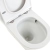 K028-2_4.jpg Image of ToiletSuite WallFaced Fienza Tono SlimSeat
