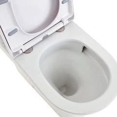 K028_4.jpg Image of ToiletSuite WallFaced Fienza Tono