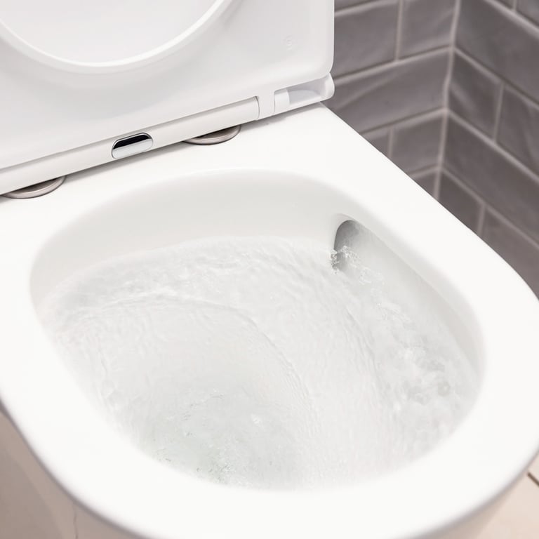 K028_Water.jpg Image of ToiletSuite WallFaced Fienza Tono