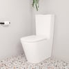 K314-2_10.jpg Image of ToiletSuite WallFaced Fienza Aluca SlimSeat
