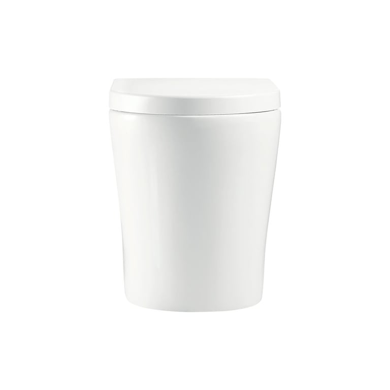K315_2.jpg Image of ToiletPan WallFaced Fienza Aluca