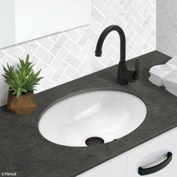 TR908_1.jpg Image of Basin UnderMount Fienza Karmen