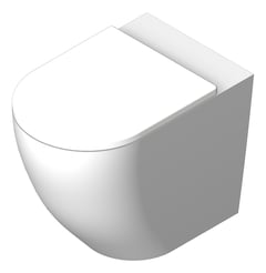 3D Shaded Image of ToiletPan WallFaced Fienza Alix Ambulant