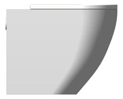 Left Image of ToiletPan WallFaced Fienza Alix Ambulant