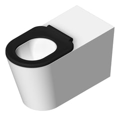 3D Shaded Image of ToiletPan WallFaced Fienza IsabellaCare