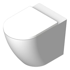 3D Shaded Image of ToiletPan WallFaced Fienza Koko
