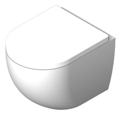 3D Shaded Image of ToiletPan WallHung Fienza KokoTornado