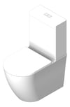 3D Shaded Image of ToiletSuite WallFaced Fienza Empire