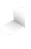 3D Documentation Image of ToiletSuite WallFaced Fienza Isabella SlimSeat