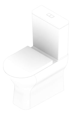 3D Documentation Image of ToiletSuite WallFaced Fienza Tono