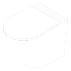 3D Documentation Image of Toilet WallFaced Fienza Koko