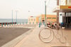 FiveAtHeart_PennyFarthing_3 Image of Rack Bicycle FiveAtHeart PennyFarthing