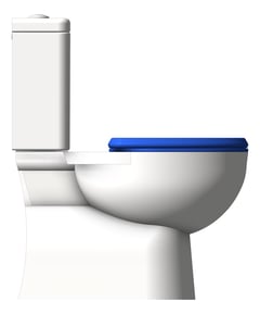 Left Image of ToiletSuite CloseCoupled GalvinEngineering GalvinAssist