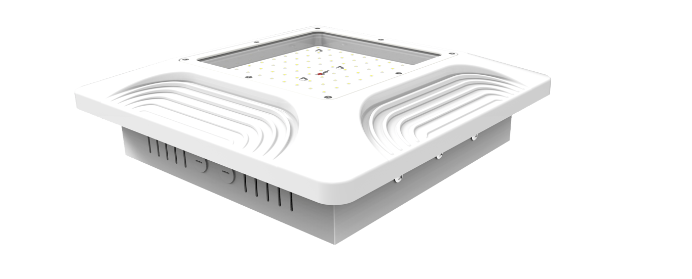 Navigate to Illuminate Pros - Canopy Lights