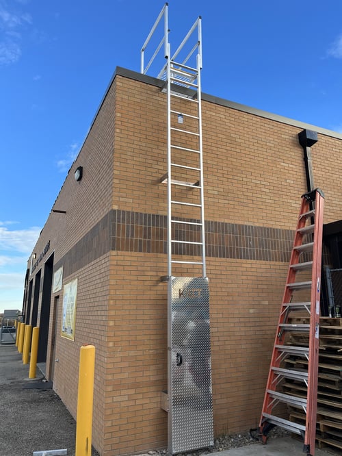 20231114_225147015_iOS.jpg Image of Kattsafe USA - Fixed Ladder Systems