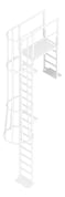 3D Documentation Image of Ladder Vertical KattsafeUSA Caged ParapetPlatform