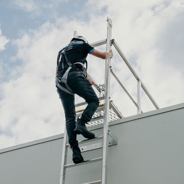 Navigate to Kattsafe - Rung Ladders