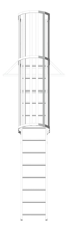 Front Image of Ladder Rung Kattsafe Angled Caged