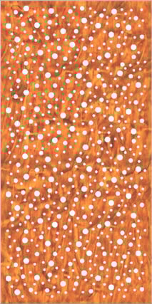  Image of Panel Acoustic Keystone KeyPly Designer 1200x600 HoopPly JarrahStain