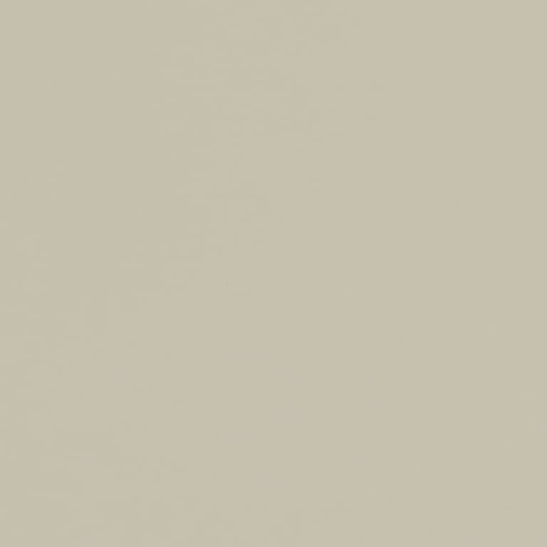 Navigate to Laminate Decorative Laminex ColourCollection WhitesAndNeutrals Natural PaperBark