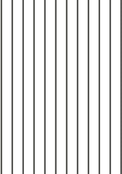  Image of Panel Decorative Laminex Surround Batten75 NaturalWhite