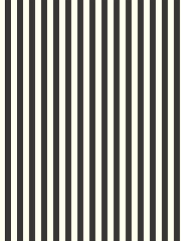 Panel Decorative Laminex Surround FrenchStripe30 HogBristleHalf