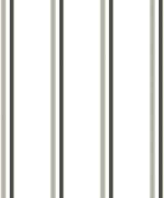  Image of Metal SheetCladding Lysaght FlatDek SurfmistMatt