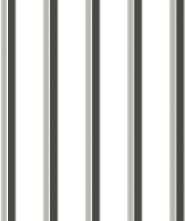 Navigate to Metal SheetCladding Lysaght TrimDek Cosmic