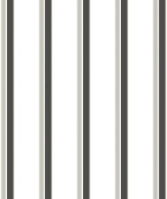 Image of Metal SheetCladding Lysaght TrimDek Galactic