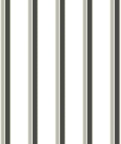 Image of Metal SheetCladding Lysaght TrimDek SurfmistMatt