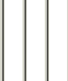  Image of Metal SheetCladding Lysaght Zenith Baroque275 Surfmist