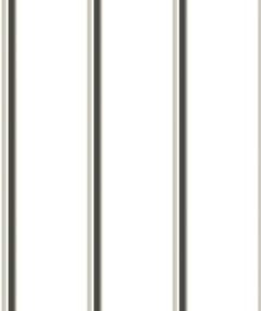 Image of Metal SheetCladding Lysaght Zenith Baroque275 SurfmistMatt