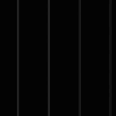  Image of Metal SheetCladding Lysaght Zenith Enseam265 NightSky