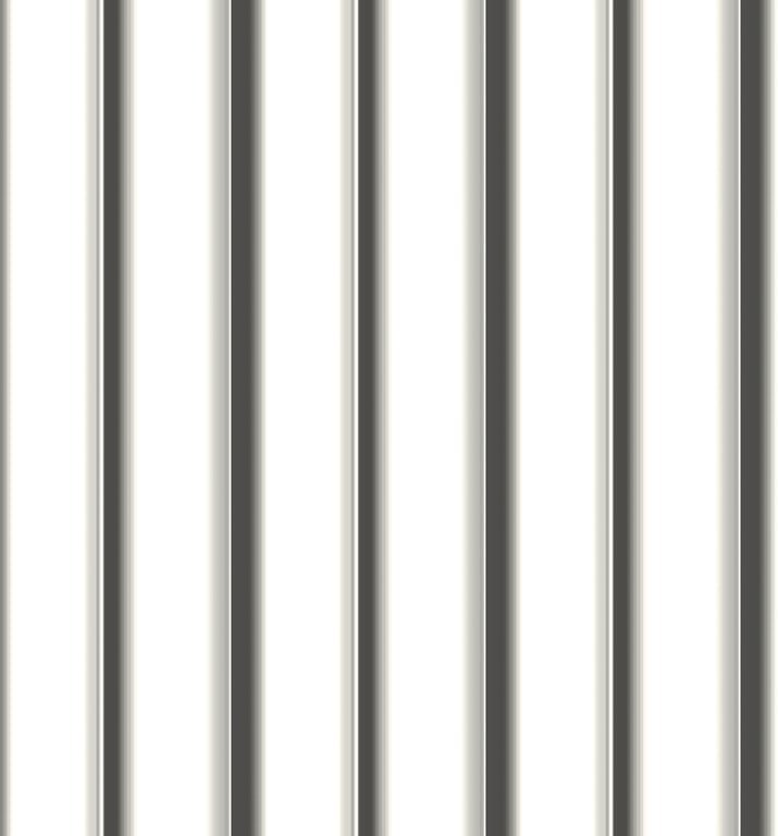 Image of Metal SheetCladding Lysaght Zenith Longline305 Galactic