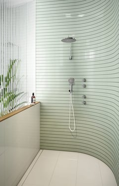 119-0600-00 604-6610-62 604-5100-00 Phoenix Vivid Slimline Plus Collection and NX Vive Shower Lifestyle 3 RGB.jpg Image of Shower Hand Phoenix NXVive