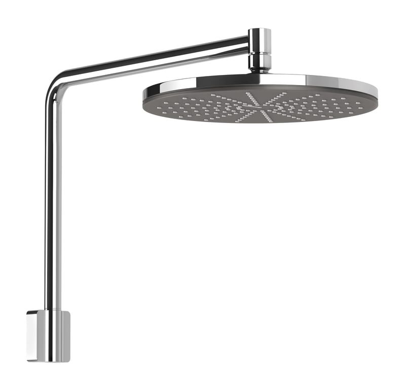 604-5100-00 NX Vive Shower Arm & Rose.jpg Image of Shower Head Phoenix NXVive