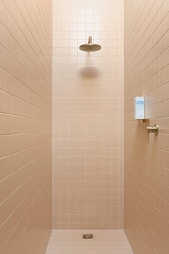 V527-12 V6000-12 Phoenix Vivid Shower Rose and Arm Hero RGB.jpg Image of Shower Rose Phoenix Vivid 230