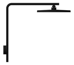 Left Image of Shower Head Phoenix NXIko