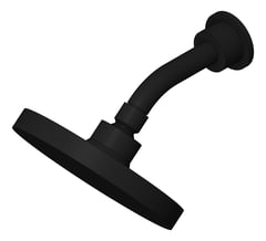 3D Shaded Image of Shower Head Phoenix Pina 150mmRose Round