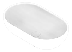 3D Documentation Image of Basin AboveCounter Plumbline Niagara Belle