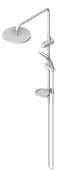 3D Shaded Image of Shower Dual Raymor Winton Round Handheld
