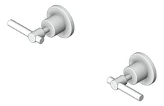 3D Shaded Image of Tap Wall Raymor Alpha Lever