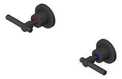 3D Shaded Image of Tap Wall Raymor Raven Lever