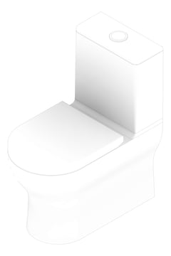 3D Documentation Image of ToiletSuite WallFaced Raymor Alpha