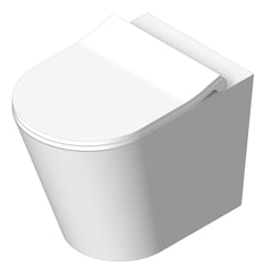 3D Shaded Image of Toilet WallHung Raymor EdgeII