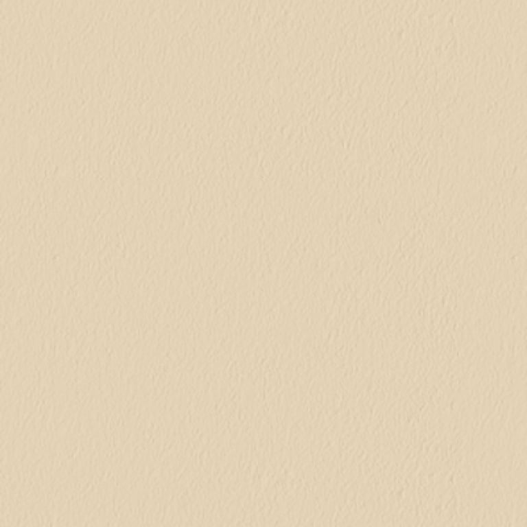 Navigate to TextureCoating Wattyl Granosite GranoQuartz Glazed BeachLife