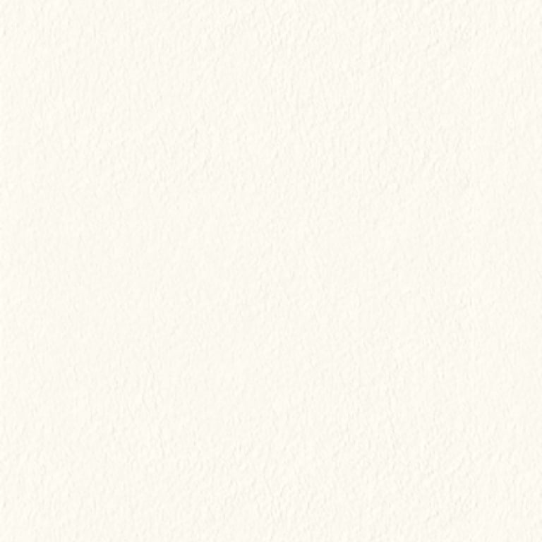 TextureCoating Wattyl Granosite GranoShield MattLowProfile FloralWhite