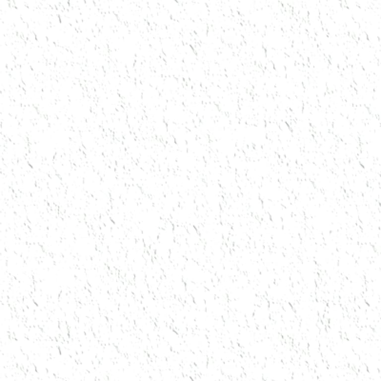 TextureCoating Wattyl Granosite GranoTrowl 2mmImpactTravertine InvisibilityCloak